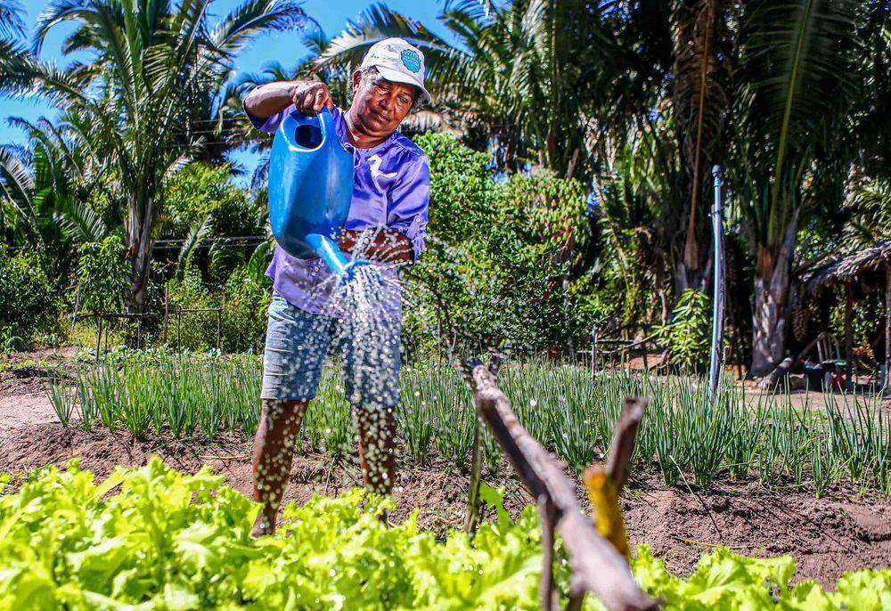 Agricultor