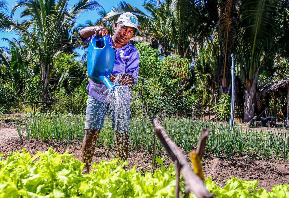 Governo do Piauí lança programas e investimentos de quase R$ 100 milhões para agricultura familiar