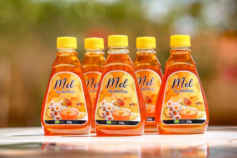 Piauí teve a terceira maior produção do país