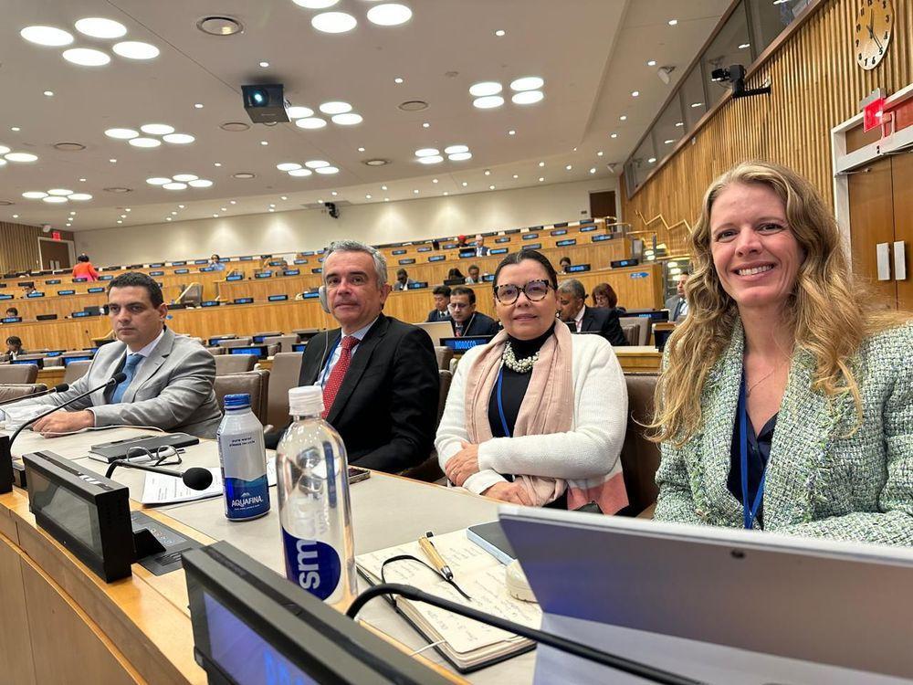 Washington Bonfim participa do Comitê de Especialistas em Administração Pública na ONU