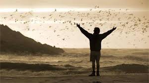 Liberdade