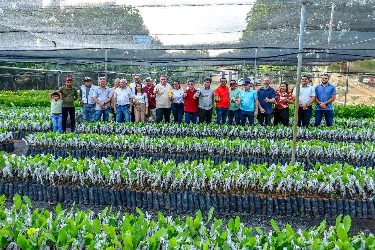 Limma visita Viveiro Municipal Antônio de Rosa, em Ipiranga do Piauí