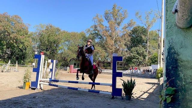 Hipismo