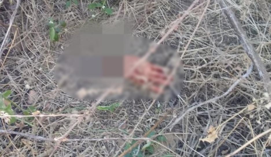 Mão decepada é encontrada próximo ao local do crime