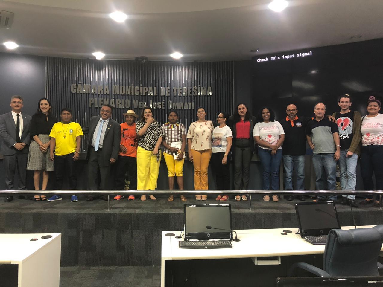 Audiência na Câmara de Teresina