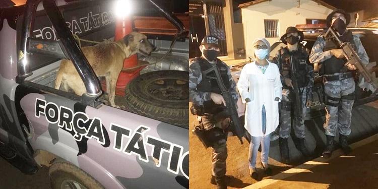 Taticanos e veterinária que prestaram socorro ao animal em Valença
