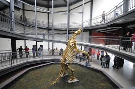 Museu da Natureza