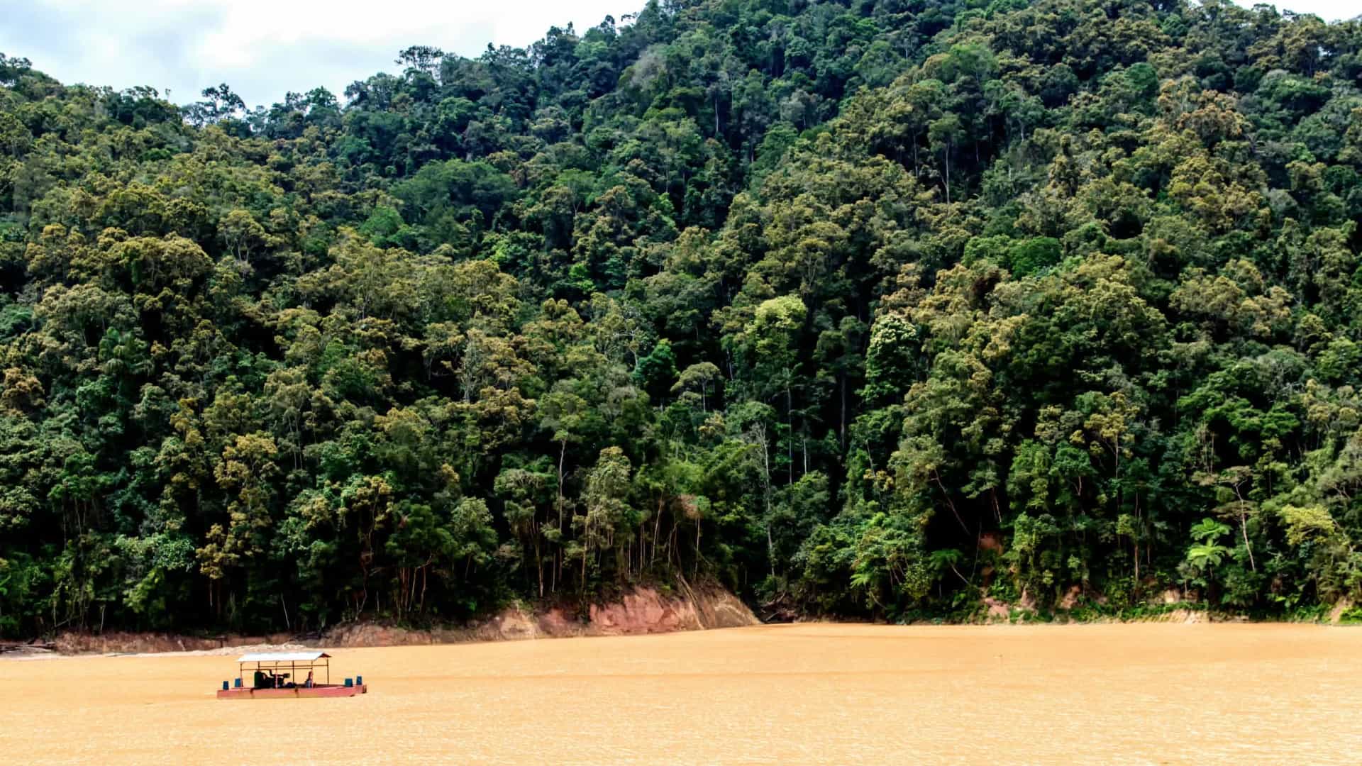 Queimadas na Amazônia