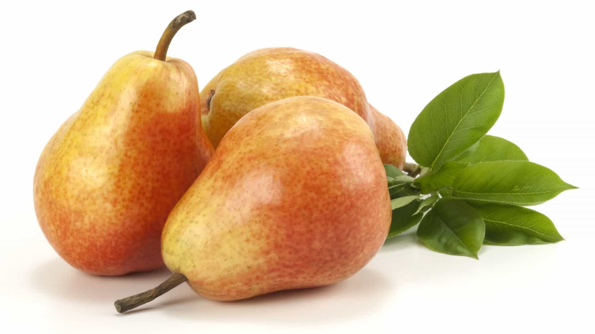 Pera