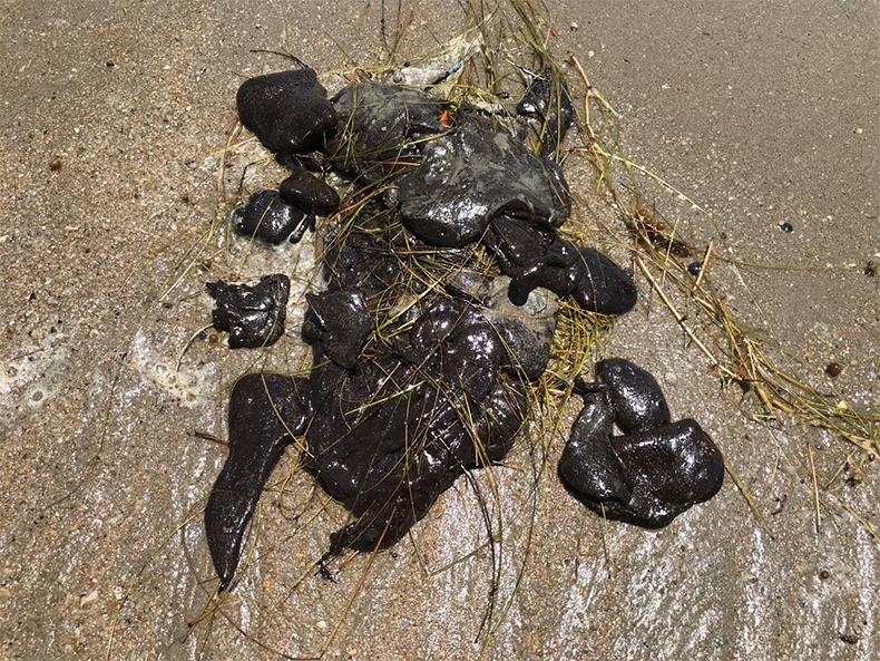 Manchas de óleo encontradas no litoral do Piauí