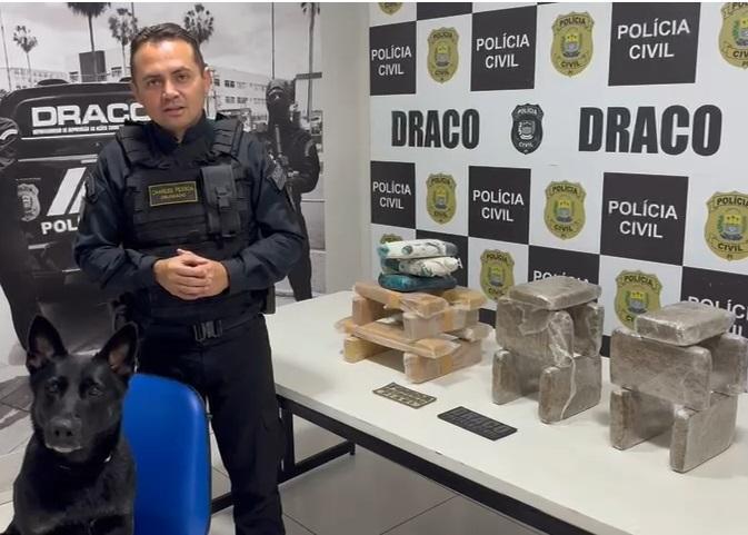Operação do Draco apreende 25 quilos de drogas nas zonas Sul e Sudeste de Teresina
