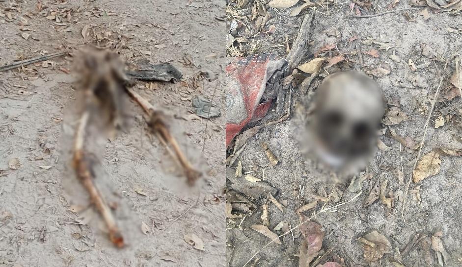 Ossada humana encontrada por populares em José de Freitas
