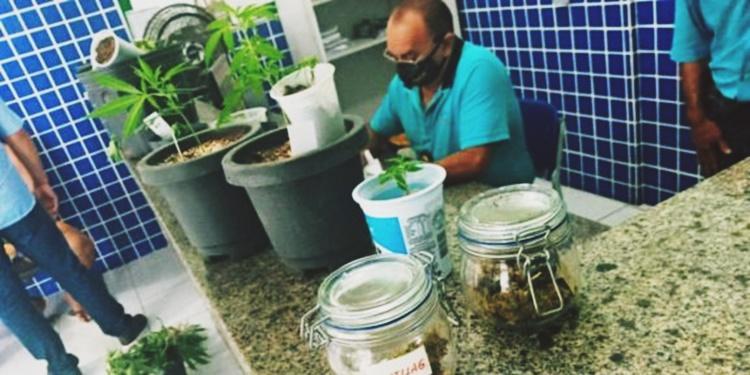 Droga e material apreendido foram levados à Central de Flagrantes