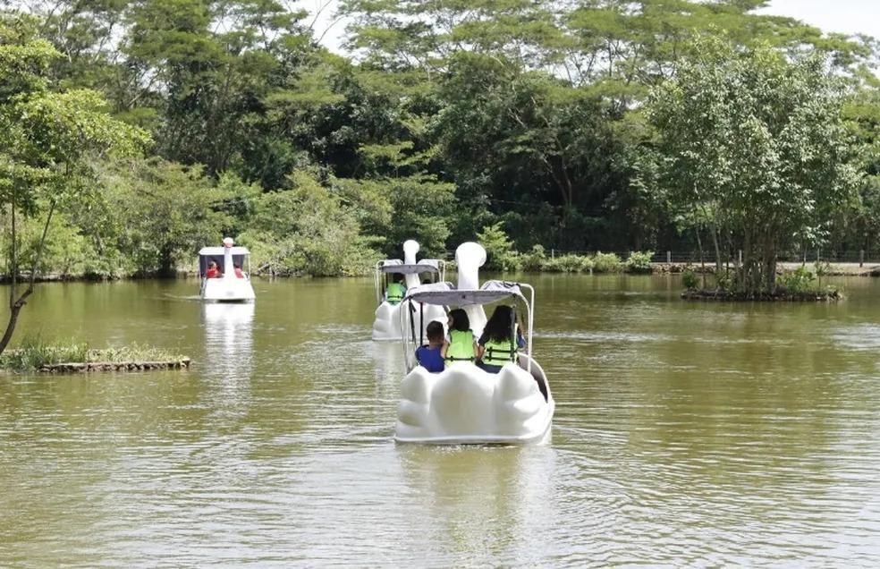 Passeio de pedalinho