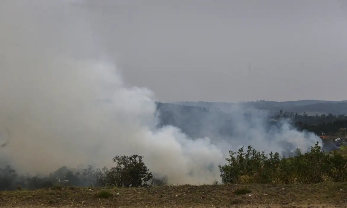 Especialistas falam em "Dia do Fogo", ação coordenada para causar incêndios em todo o país