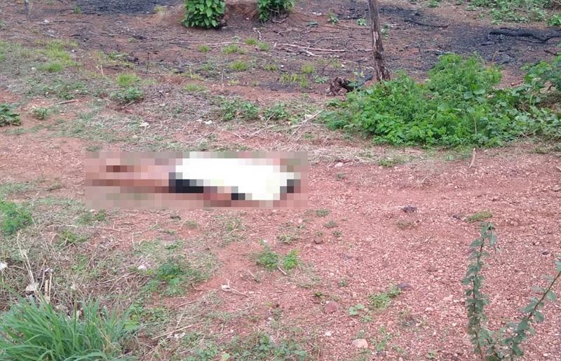 Jovem de 21 anos é morta pelo ex-marido em Corrente