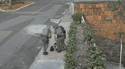 Policiais agridem dona de casa