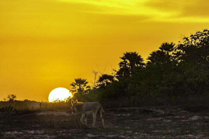 Por Do Sol em Luis Correia/PI