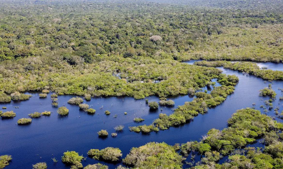 Monitoramento revela recuo no desmatamento em 2024