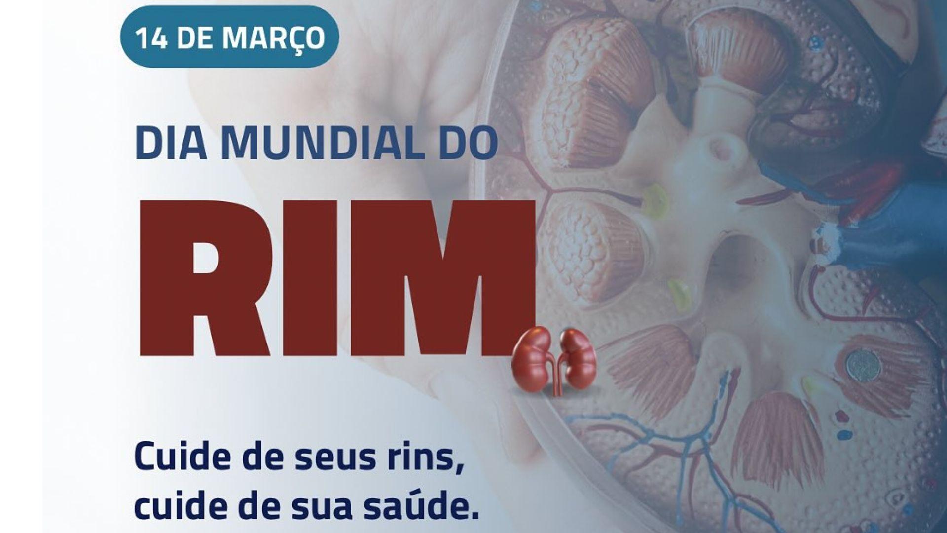 A data é uma oportunidade para aumentar a conscientização sobre a importância dos rins para a saúde geral.