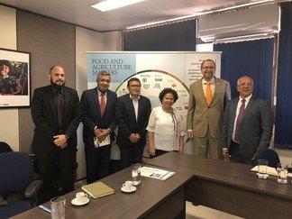 Vice-Governadora em audiência na FAO