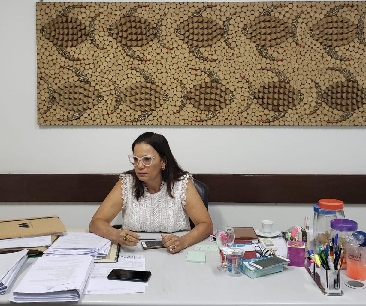 Secretária de Estado do Meio Ambiente e Recursos Hídricos, Sádia Castro, em entrevista ao Piauihoje.com