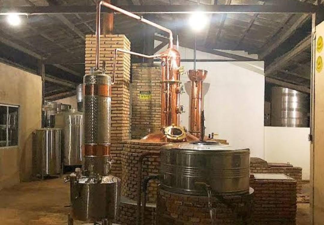 Pequenas fábricas de cachaça estão surgindo em todo o país