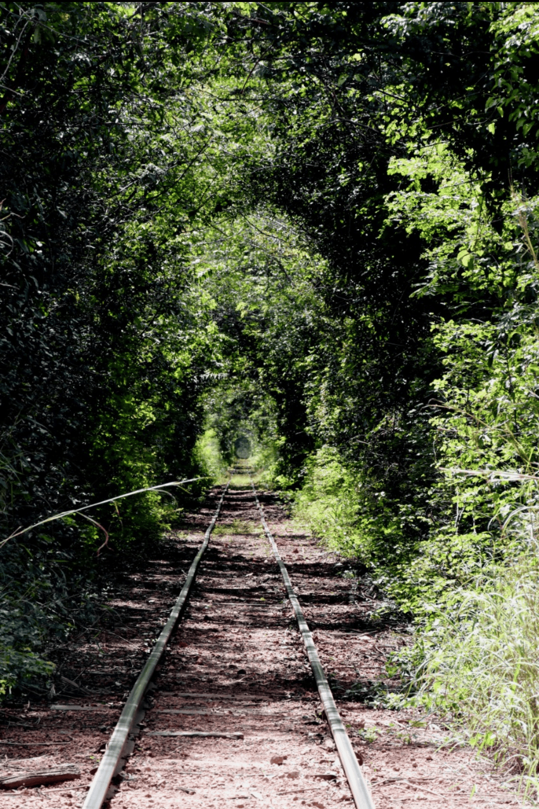 Túnel do trem, em Altos-PI