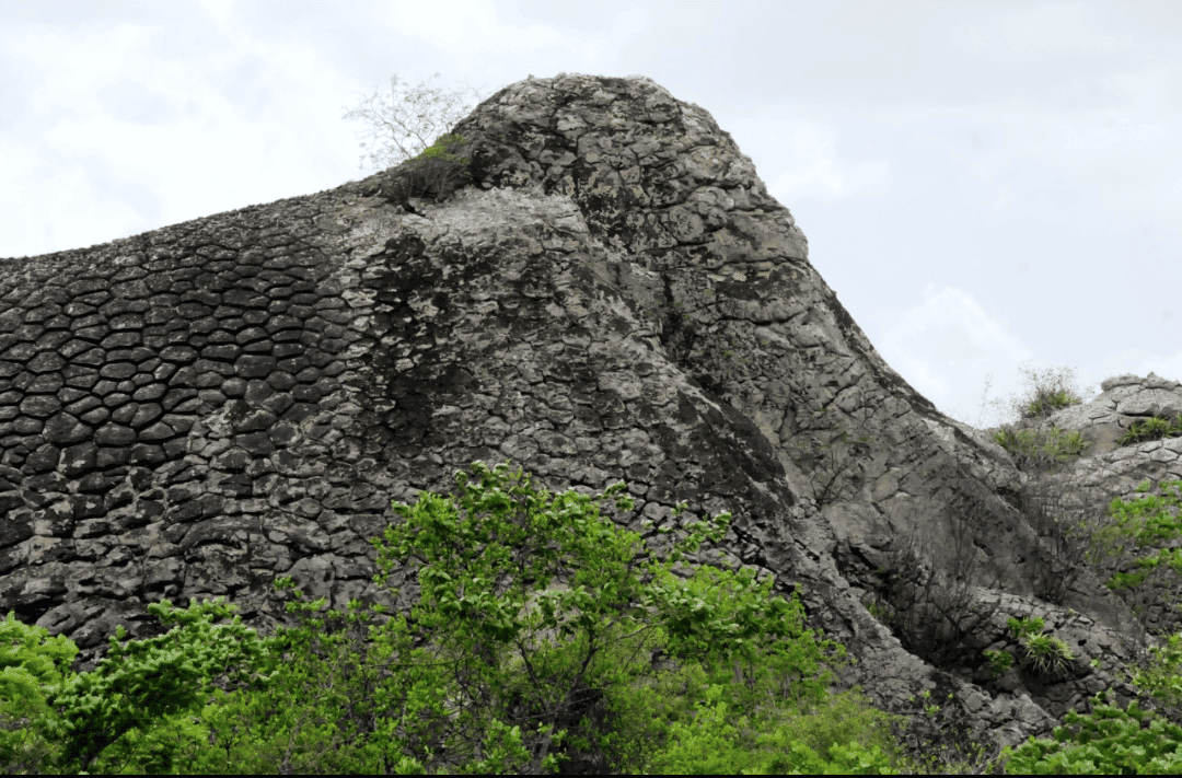 O Elefante de Sete Cidades
