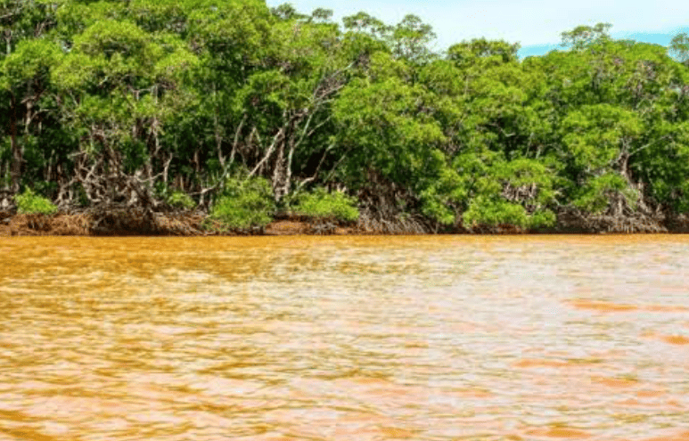 As águas do Parnaíba estão turvas e a correnteza é forte