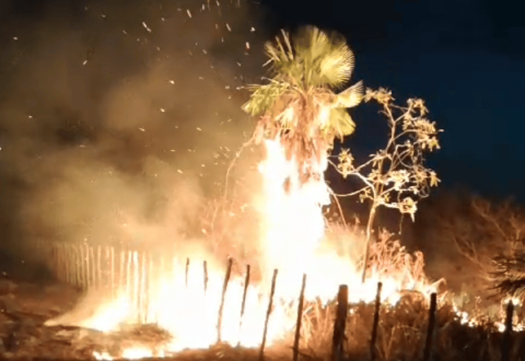Fogo no Parque da Serra de Santo Antônio, em agosto de 2022