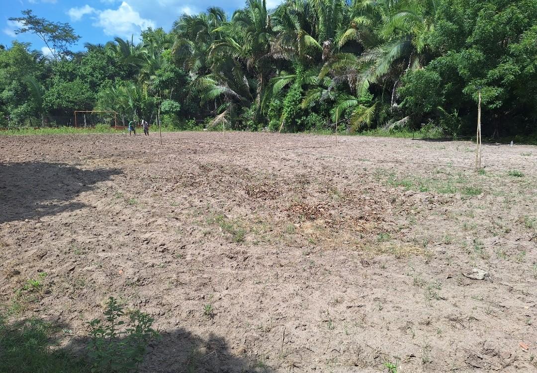 O campo está pronto para plantar. Só  falta a chuva