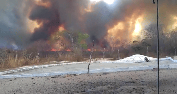 Incêndio de grandes proporções ameaça sítios arqueológicos em Pimenteiras