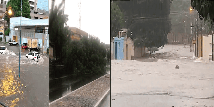 Ruas ficam alagadas e árvores caídas após chuva