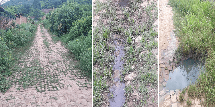 Ruas estão abandonadas em Socorro do Piauí