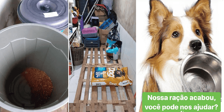 Estoque de ração fica zerado na Apipa
