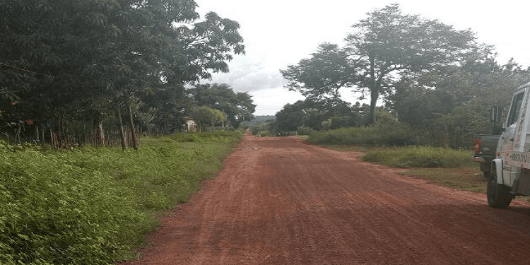 Moradores da zona rural de José de Freitas vivem momento de terror