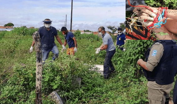 Ex-presidiário é encontrado morto em Parnaíba