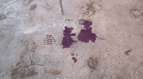 Manchas de sangue na residência de João Victor