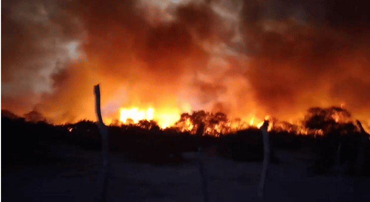 Incêndio de grandes proporções destrói roças em Monsenhor Hipólito