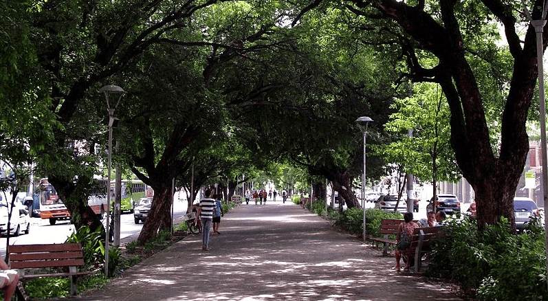 Avenida Frei Serafim