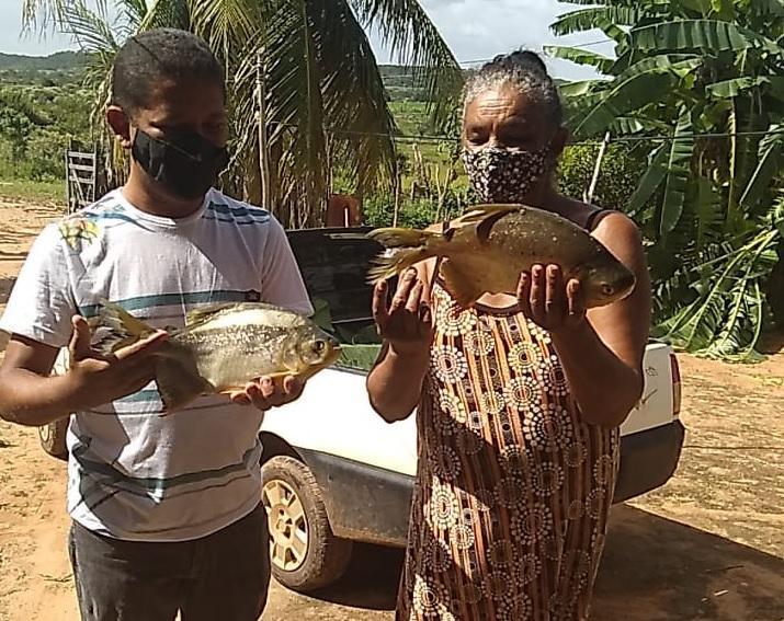 Distribuição de peixe