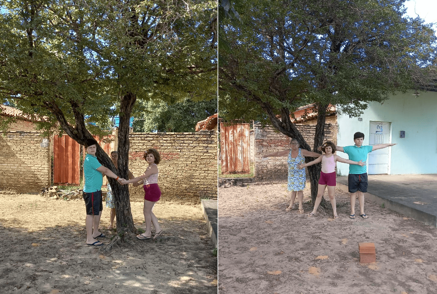 Família protege árvore que deve ser cortada por prefeitura