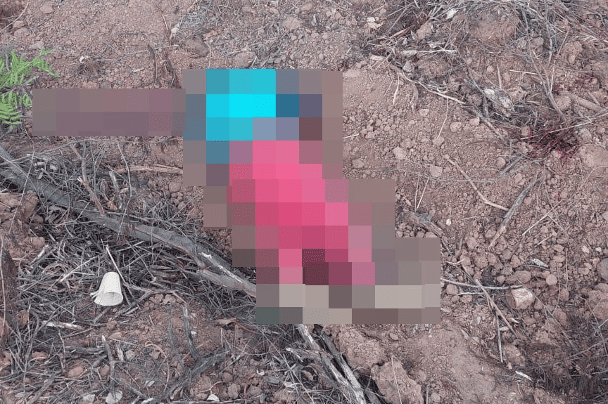Homem é assassinado por causa de cachorro em Francinópolis