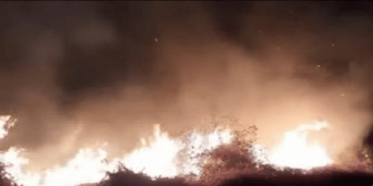 Morro do Leme é alvo de incêndio criminoso