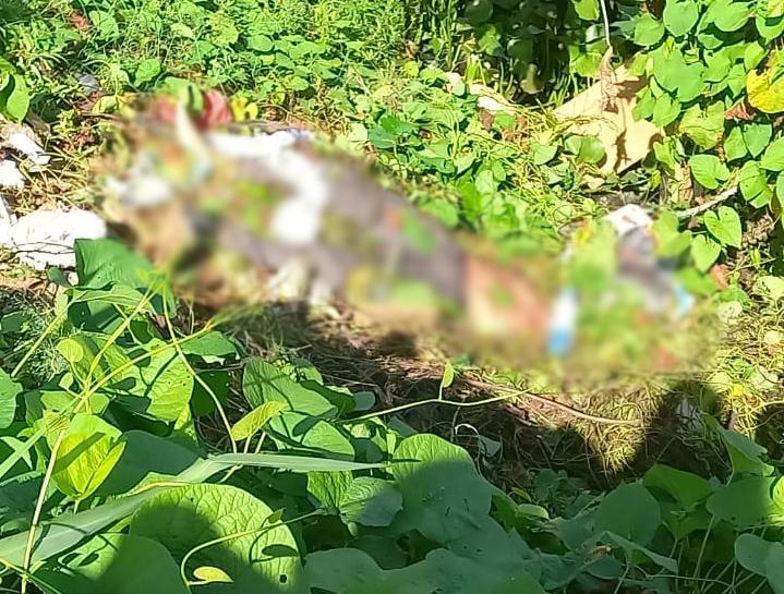 Corpo encontrado em lagoa na zona Norte de Teresina