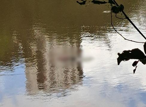 Corpo humano é encontrado no rio Poti, próximo a ponte da Frei Serafim