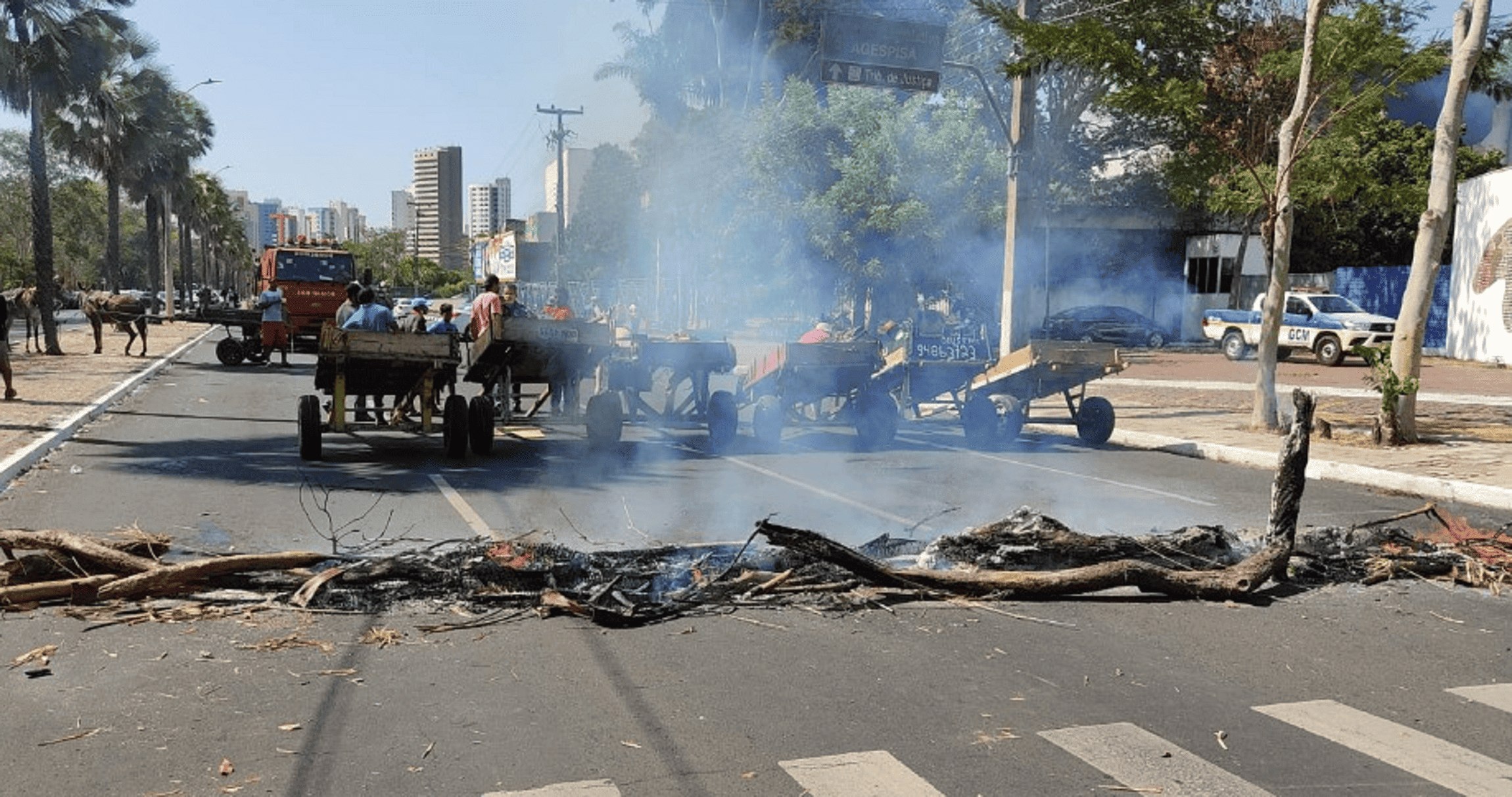 Carroceiros protestam em frente a Câmara de Teresina