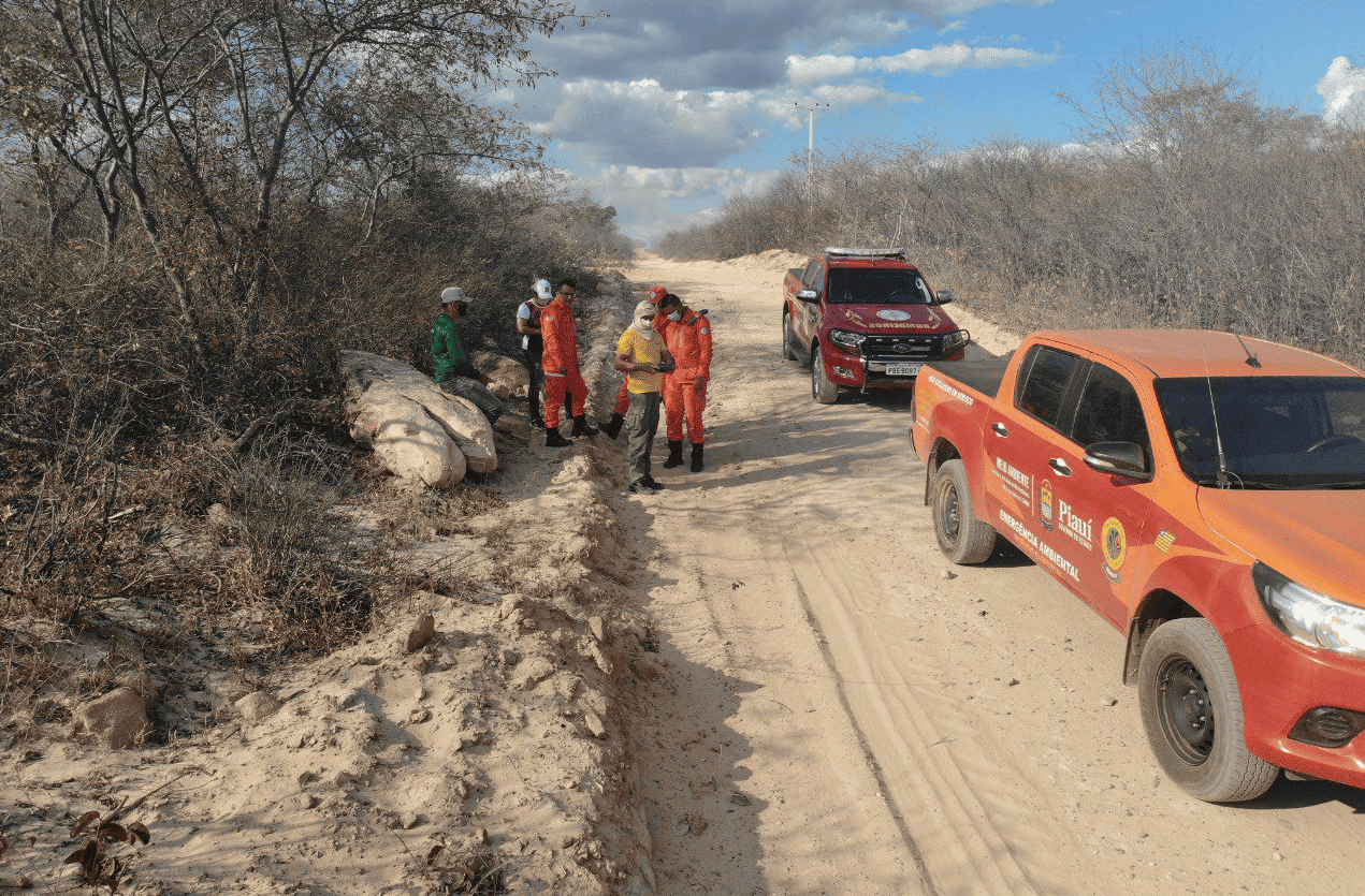 Incêndio já dura 28 dias em Curimatá e Cristino Castro