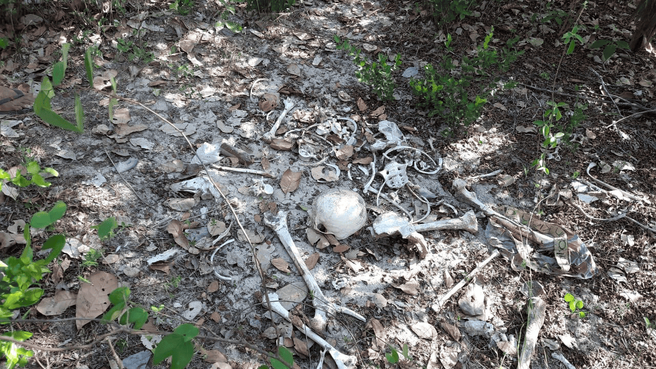 Ossada humana é encontrada às margens de rio em Campo Maior